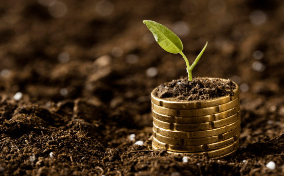 Investments in securities